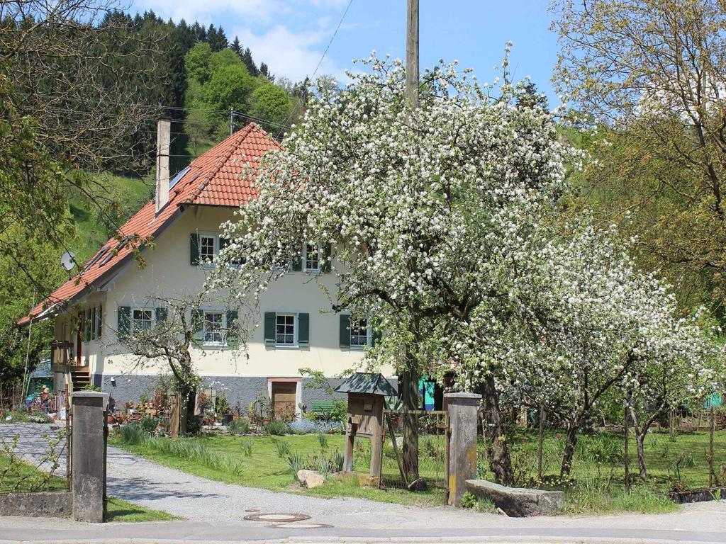 Haus Am Bach Apartment Steinach  Exterior foto